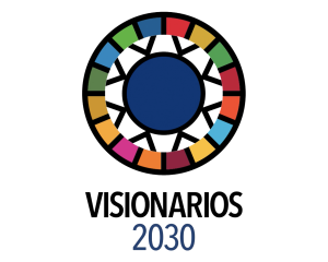 Visionaries 2030