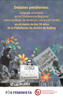 Debates pendientes: Lenguaje acordado en la Conferencia Regional sobre la Mujer de America Latina y el Caribe, en el marco de los 30 años de la Plataforma de Acción de Beijing