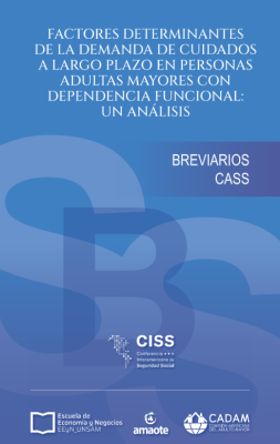 Factores determinantes de la demanda de cuidados a largo plazo en personas adultas mayores con dependencia funcional: un análisis