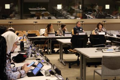 CSW68 Side Event "Care Economy in the Multilateral System: Uniting  Stakeholders for Global Impact" in pictures