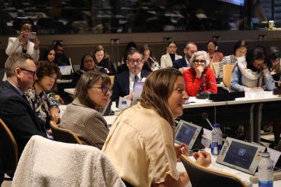 CSW68 Side Event "Care Economy in the Multilateral System: Uniting  Stakeholders for Global Impact" in pictures