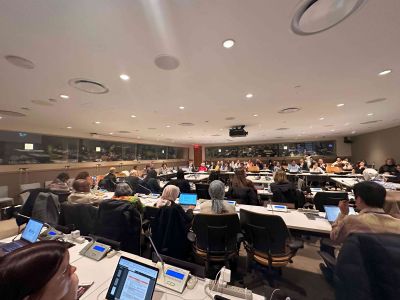 CSW68 Side Event "Care Economy in the Multilateral System: Uniting  Stakeholders for Global Impact" in pictures